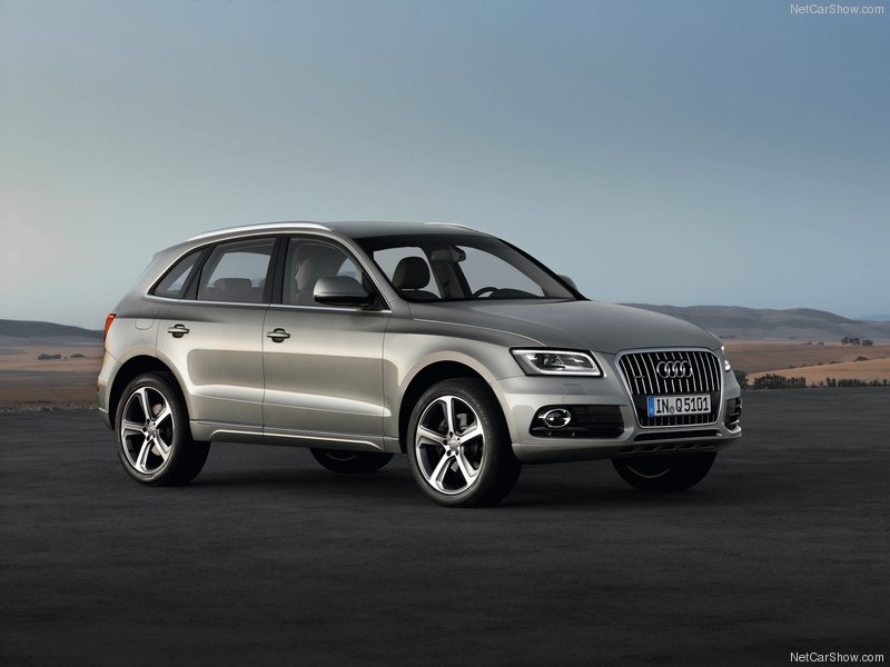 Audi-Q5-2013-800-0b.jpg